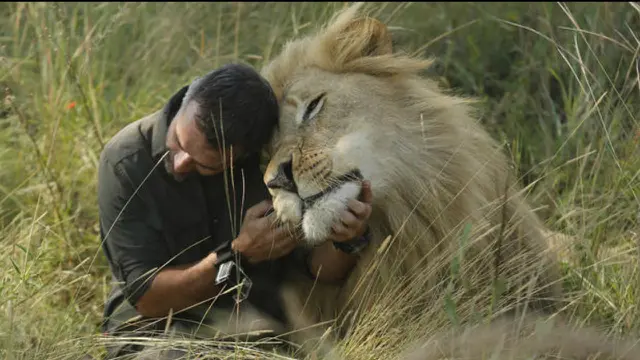 Kevin Richardson bersama seekor singa. (AP)