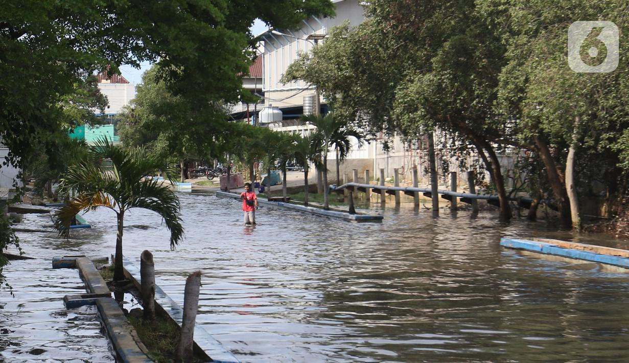 Seorang pejalan kaki menerobos banjir rob di kawasan Pelabuhan Perikanan Samudera Nizam Zachman, Muara Baru, Jakarta, Sabtu (6/11/2021). Banjir rob tersebut disebabkan karena naiknya permukaan air laut. (Liputan6.com/Herman Zakharia)