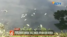Petugas masih menyelidiki penyebab sejumlah ikan-ikan yang ditemukan mati di Kali Ancol, Jakarta Utara.