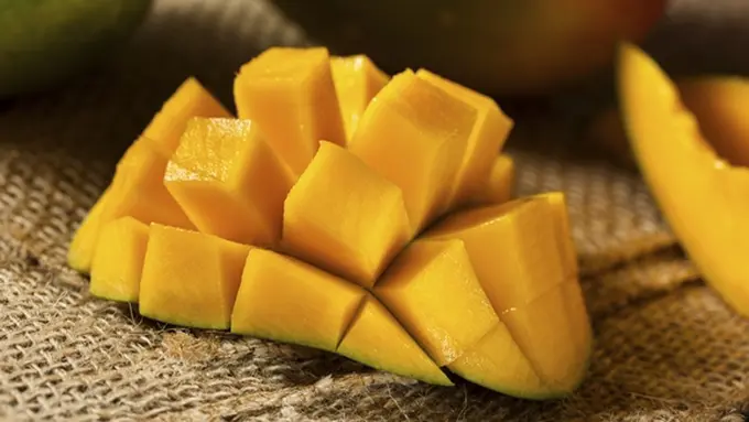 Foto: copyright thinkstockphotos.com