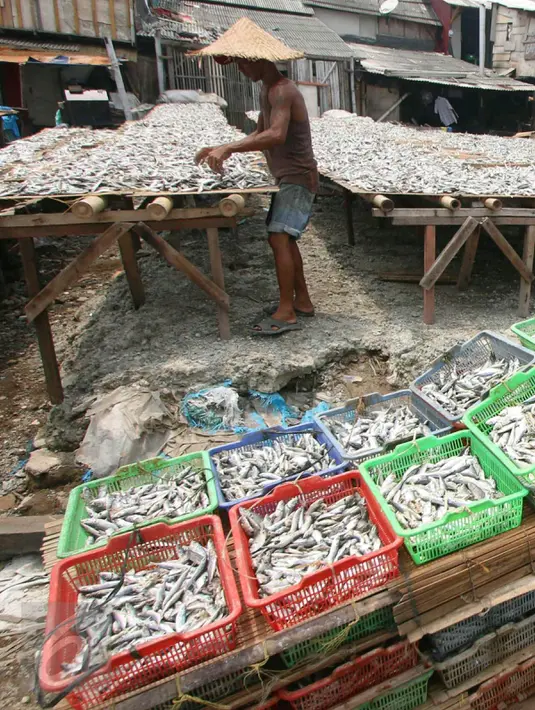 Nelayan menjemur ikan di Muara Angke, Jakarta, Selasa (17/1). Kamar Dagang dan Industri (Kadin) Indonesia menginginkan perbankan bisa pembiayaan dalam bentuk kredit untuk investasi sektor kelautan di Indonesia. (Liputan6.com/Angga Yuniar)