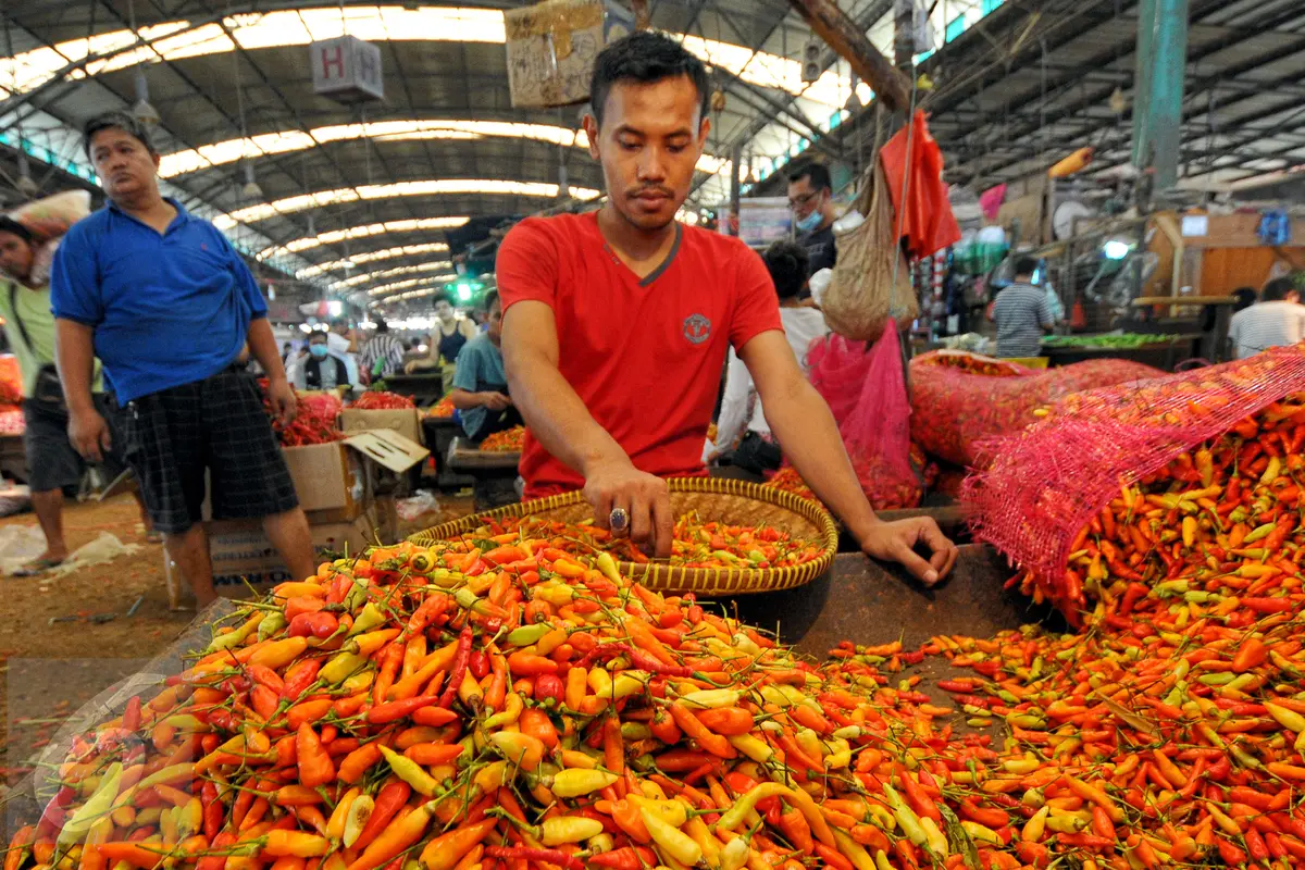 Awal Ramadan, Harga Cabai Mulai Meroket