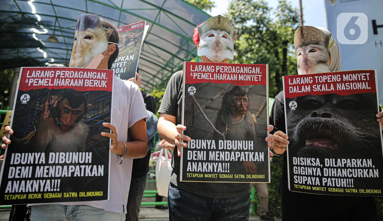 Massa yang tergabung dalam Koalisi Primates Fight Back mengenakan topeng monyet saat melakukan aksi di depan Kantor Kementerian Lingkungan Hidup dan Kehutanan, Jakarta, Senin (12/12/2022). Dalam aksinya mereka mendesak pemerintah untuk menetapkan monyet sebagai satwa dilindungi. (Liputan6.com/Faizal Fanani)