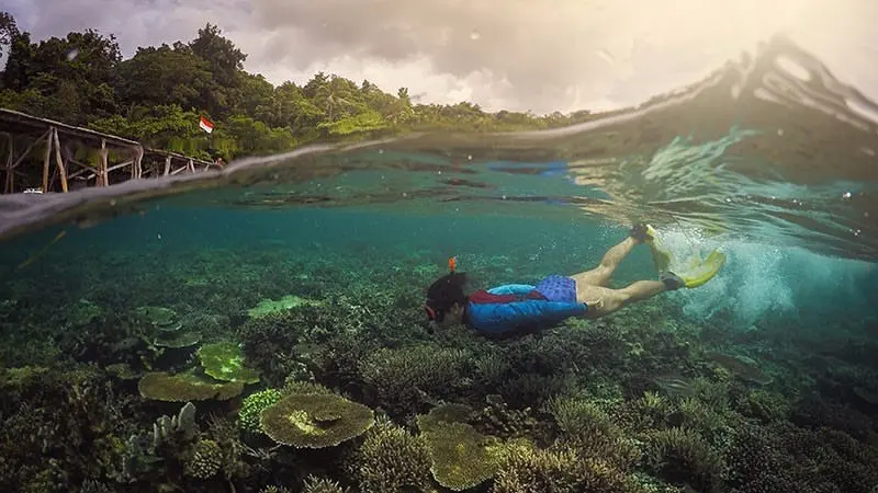 Raja Ampat keindahan bawah laut