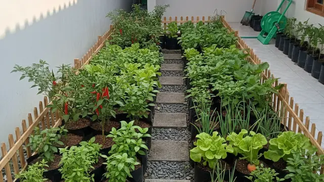 Kebun Sayur Polybag Tumpang Sari (Foto: Gemini AI)