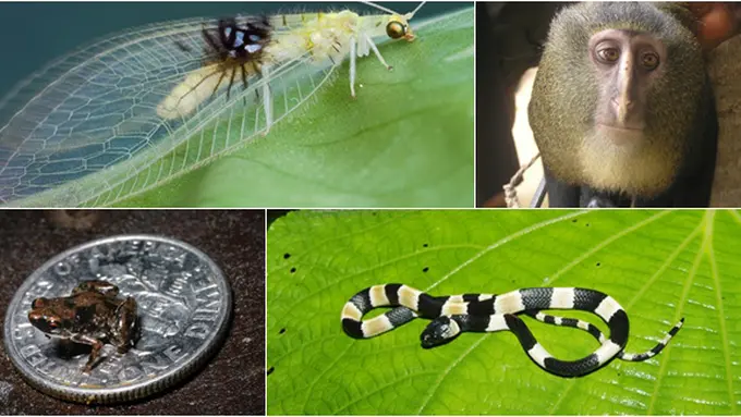 Courtesy LiveScience.com