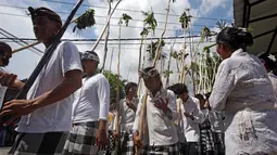 Peserta Mekotek berjalan mengelilingi desa membawa tongkat berhiaskan daun pandan dan tamiang sambil berdoa saat ritual Mekotek di Bali (11/11). Peserta ritual ini adalah laki-laki dari remaja hingga orang tua. (AP Photo/Firdia Lisnawati)
