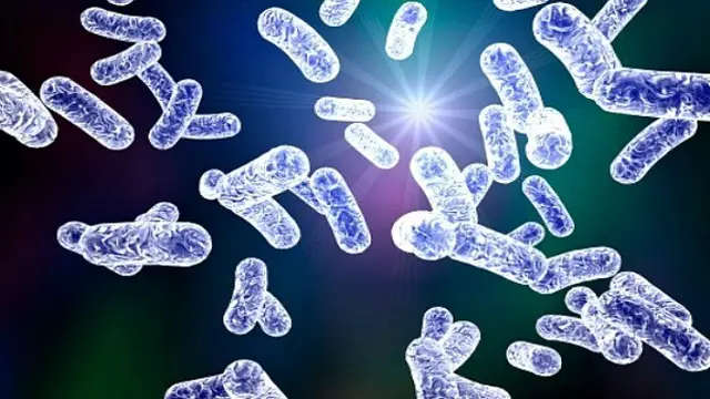 Shigellosis