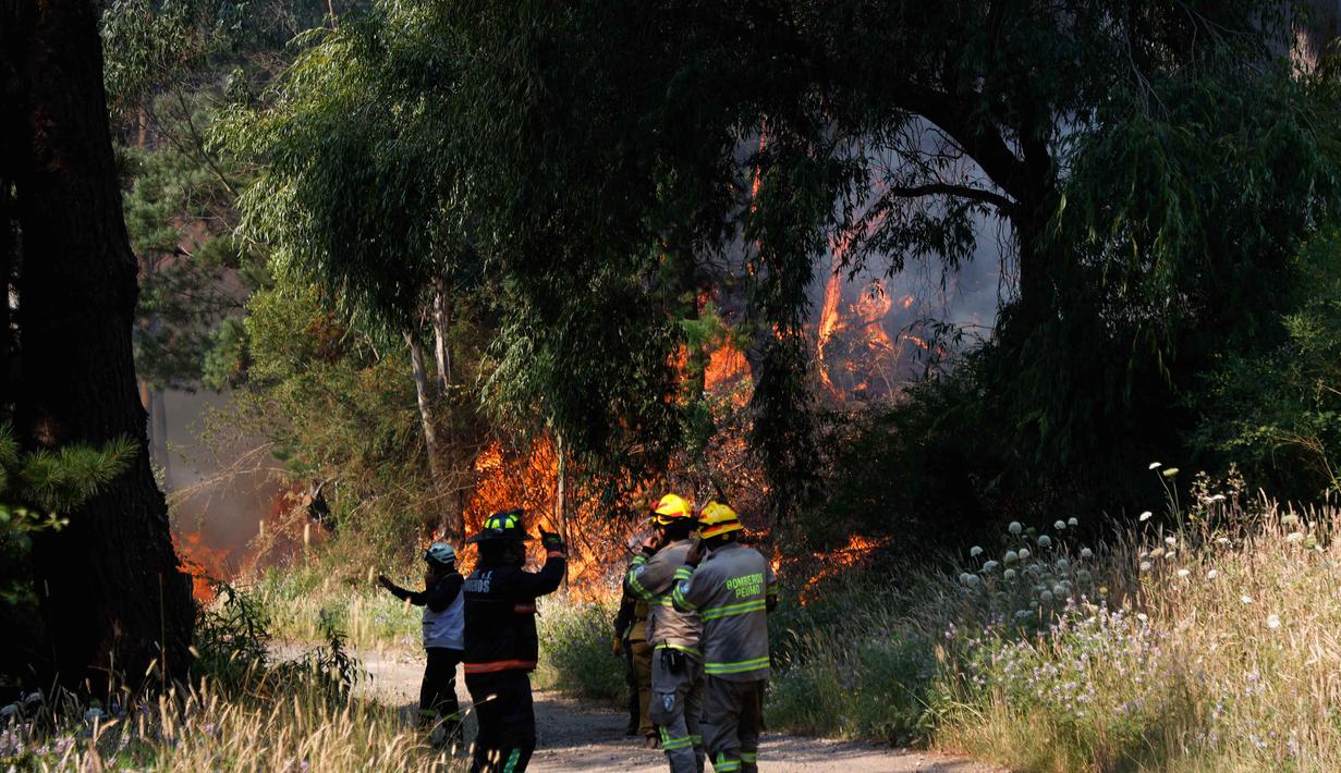 Kebakaran tersebut diperparah oleh cuaca panas dan angin kencang, sehingga mempercepat penyebaran api. Tampak dalam foto, petugas pemadam kebakaran Chili bekerja saat kebakaran hutan di Concepcion, Chile pada 18 Januari 2026. (Raul BRAVO/AFP)
