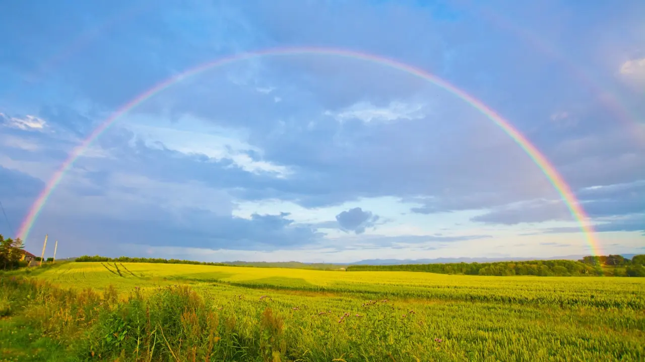 Rainbow