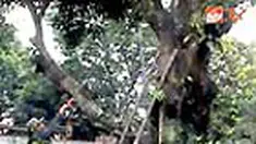liputan6