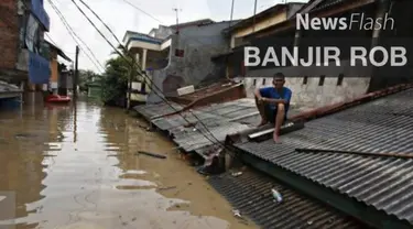 Banjir rob setinggi 10 hingga 15 cm melanda warga Jakarta Utara. Kali ini menggenangi permukiman di Kelurahan Marunda, Cilincing, Jakarta Utara.