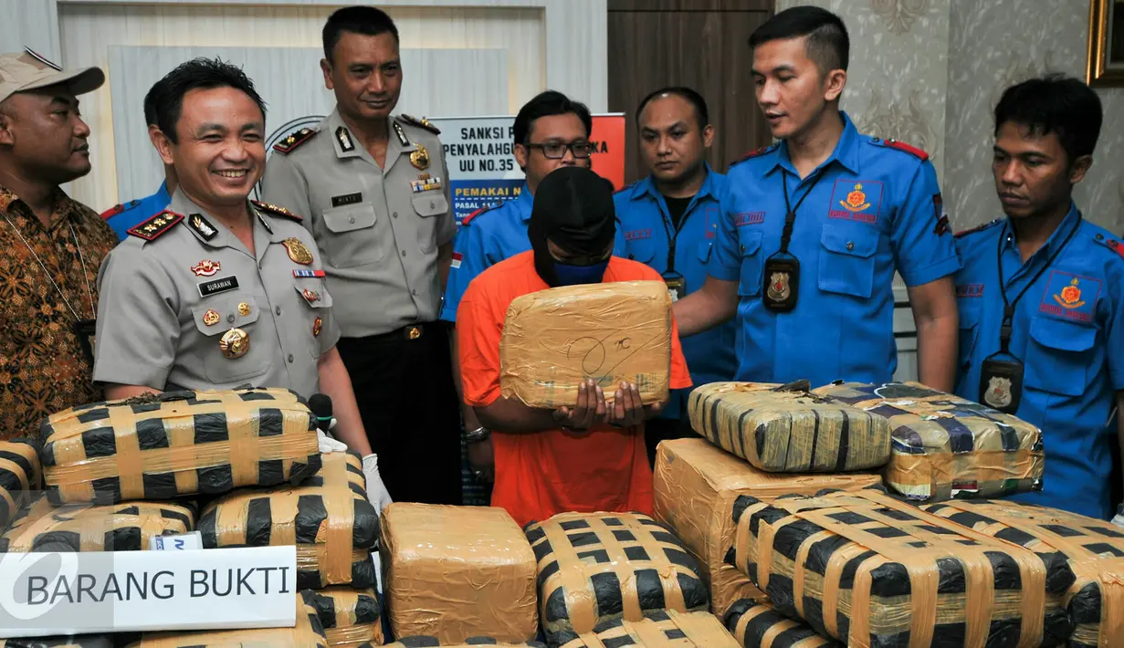Tersangka MS (tengah) menunjukkan ganja miliknya seberat 219 kg, Jakarta, Kamis (3/12/2015). Tersangka MS dijerat pasal berlapis dengan ancaman hukuman mati. . (Liputan6.com/Yoppy Renato)