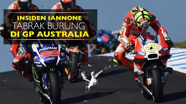 Video insiden pebalap Ducati, Andrea Iannone, menabrak burung camar di MotoGP Australia 2015.