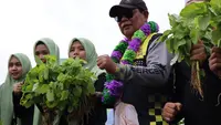 Gubernur Kalimantan Selatan (Kalsel) Sahbirin Noor melakukan panen sayuran bersama warga Desa Gunung Besar, Kecamatan Simpang Empat Kabupaten Tanah Bumbu.