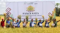 Penerapan praktik pertanian yang baik (good agriculture practices/GAP) menjadi salah satu kunci sukses dalam meningkatan produktivitas padi. (Dok. Wilmar)