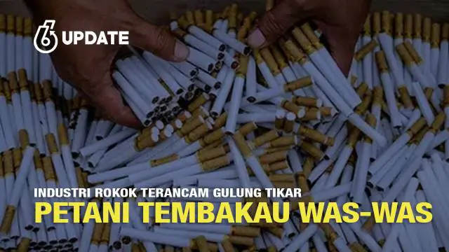 Ketua Umum Dewan Pimpinan Nasional Asosiasi Petani Tembakau Indonesia (DPN APTI) Agus Parmuji menyoroti Pasal 435 yang tertuang di Peraturan Pemerintah (PP) Nomor 28 Tahun 2024. Jika pasal 435 diterapkan, pelaku industri hasil tembakau (IHT) legal be...