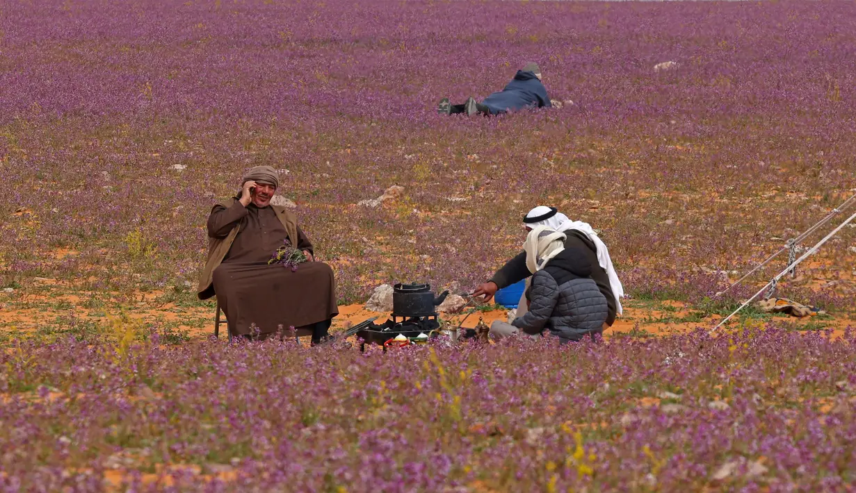 <p>Dua pria menyiapkan teh di gurun pasir yang ditumbuhi bunga lavender di kota Rafha, dekat perbatasan dengan Irak, pada 13 Februari 2023. Penduduk di daerah itu menjauhkan unta untuk mencegah mereka memakan bunga lavender yang telah menarik perhatian para wisatawan. (Fayez Nureldine / AFP)</p>