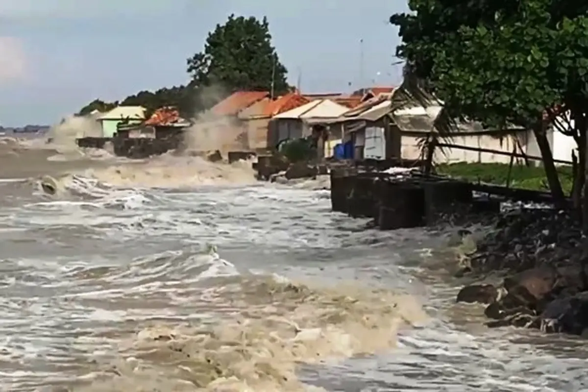 Banjir Rob Rusak Lahan Garam Hingga Pemukiman Warga di Cirebon dan Indramayu
