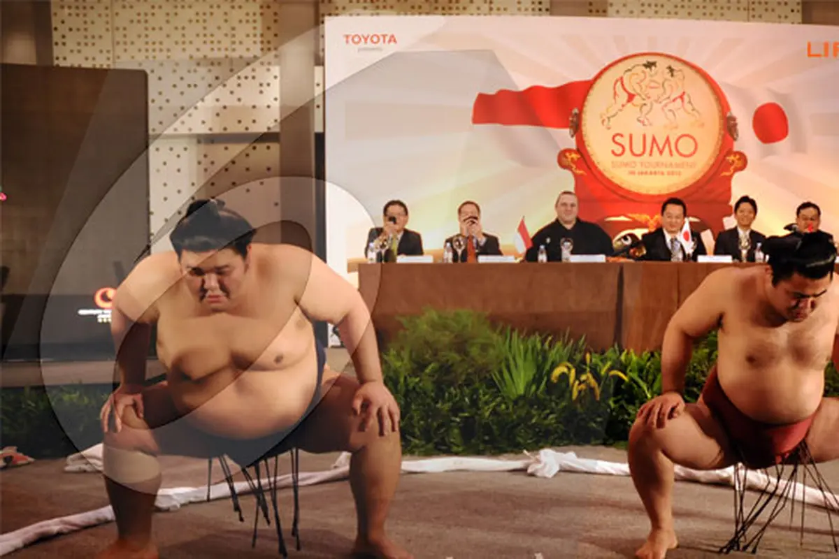 sumo-130420a.jpg