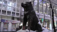 Patung Hachiko (Foto: Takashi Aoyama/Getty Images News/Getty Images).