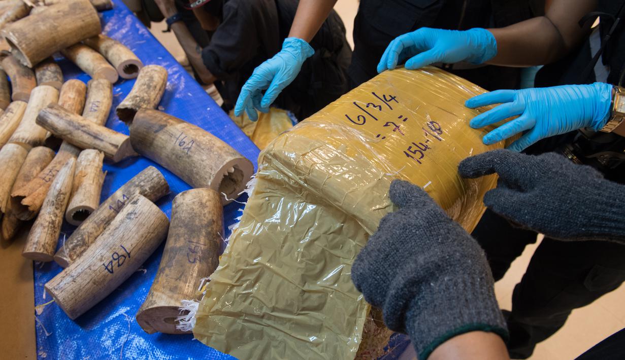 Petugas memeriksa kotak berisi potongan gading di bandara Bangkok, Selasa (7/3). Thailand telah menyita lebih dari 300 kilogram gading dari Malawi pada penerbangan ke bandara utama ke Bangkok. (AFP PHOTO / Roberto SCHMIDT)