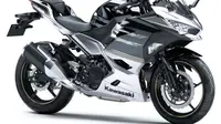 Kawasaki Ninja 250 punya dua warna berbasis silver dan hitam (Young Machine)