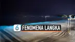 THUMBNAIL FENOMENA