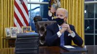 Presiden Joe Biden saat berada pertamanya di Ruang Oval, Gedung Putih di Washington, Rabu (20/1/2021). Pada hari pertamanya menjabat, Presiden Amerika Serikat Joe Biden menandatangani sejumlah tindakan eksekutif di Gedung Putih. (AP Photo/Evan Vucci)