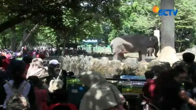 TMII dan Ragunan Dipadati Wisatawan 