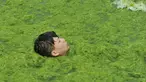 Seorang anak berenang di pantai yang dipenuhi tanaman ganggang di Qingdao , Provinsi Shandong , China , (18/7). Tanaman ganggang merupakan vegetasi yang tumbuh di air dan ganggang tumbuh tak terkendali. (Reuters)