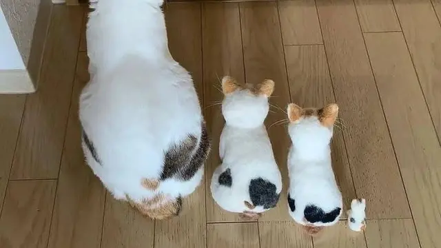 6 Potret Ibu Kucing dan Anaknya Punya Corak Tubuh Sama, Unik Banget
