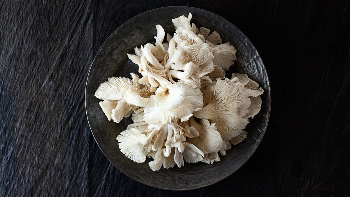 Cara Budidaya Jamur Tiram di Rumah Kecil Panen 30 Hari, Panduan untuk Pemula