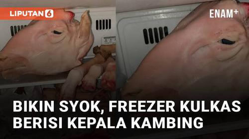 VIDEO: Bikin Syok, Freezer Kulkas Berisi Kepala dan Kaki Kambing