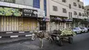 Seekor keledai menunggu diikat ke gerobak yang membawa muatan kembang kol melewati toko-toko yang tutup di sepanjang jalan di kota Hebron di Tepi Barat yang diduduki saat terjadi pemogokan umum yang diserukan sebagai tanggapan atas serangan ke kompleks rumah sakit di Gaza, Rabu (18/10/2023). (HAZEM BADER / AFP)
