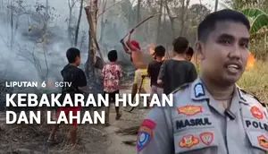 Kebakaran Hutan dan Lahan