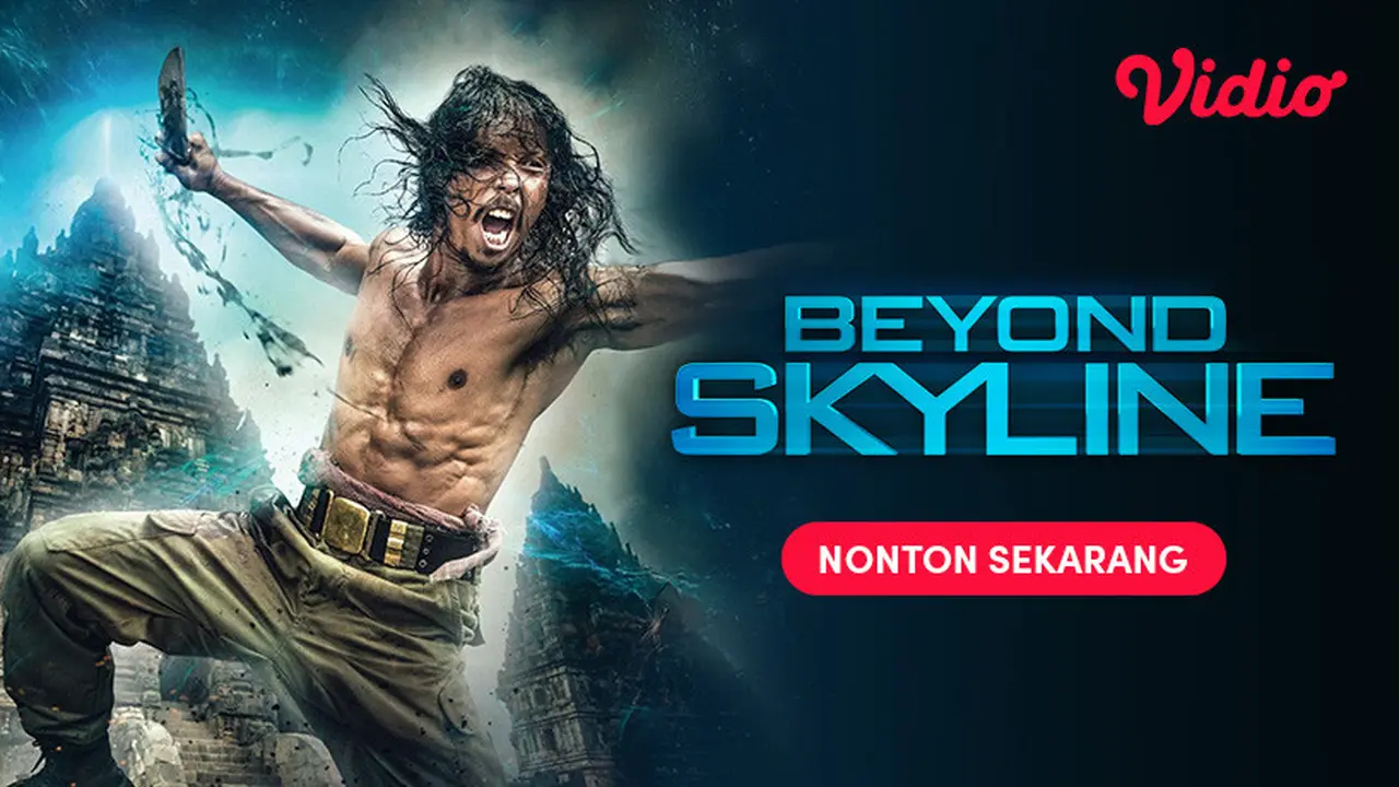 Beyond Skyline