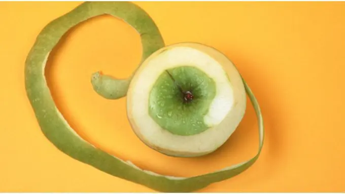 copyright by Shutterstock.com