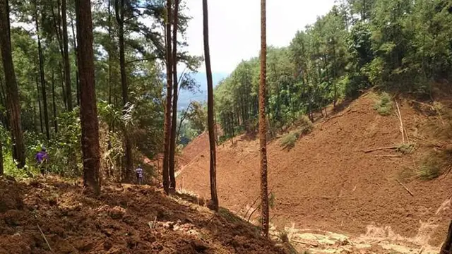 Tak Sampai 20 Menit, Longsor Brebes Hancurkan Jalan dan Hutan Pinus