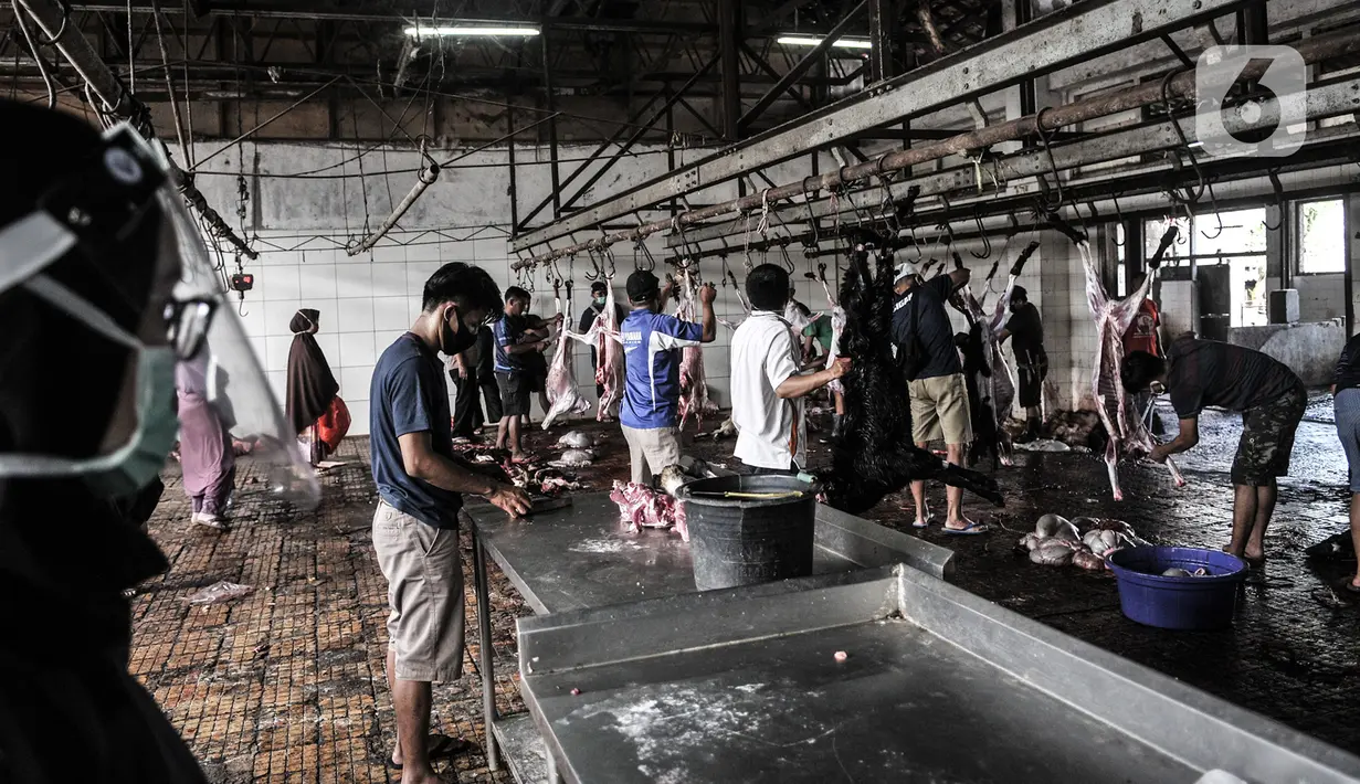 Petugas menguliti hewan kurban Idul Adha di RPH Pulogadung, Jakarta, Jumat (31/7/2020). RPH Pulogadung menyembelih 50 sapi dan puluhan kambing dengan proses pemotongan sesuai syariat Islam dan protokol kesehatan guna mencegah penyebaran COVID-19. (merdeka.com/Iqbal S. Nugroho)