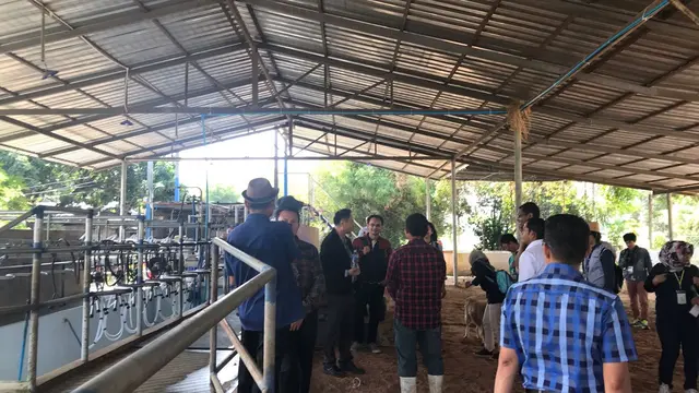 Perbandingan Lapangan