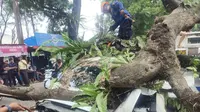 Pohon Tumbang Timpa Mobil dan Motor di Jalan Raya Bocimi, 5 Luka