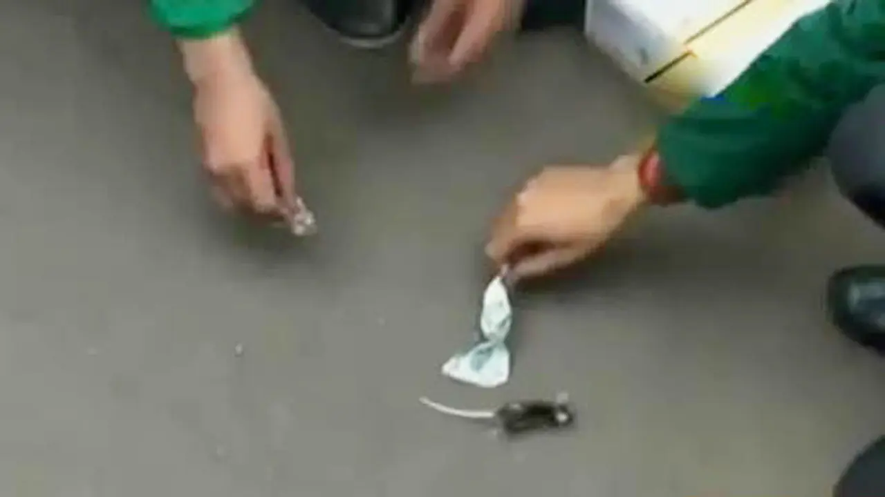 Gerah Korupsi E-KTP, Mahasiswa Lepas Tikus di Depan DPR