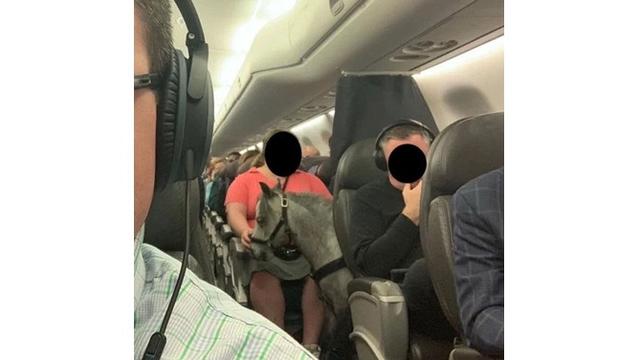 7 Potret Kelakuan Manusia yang Terlalu Sayang Binatang Ini Bikin Geleng Kepala