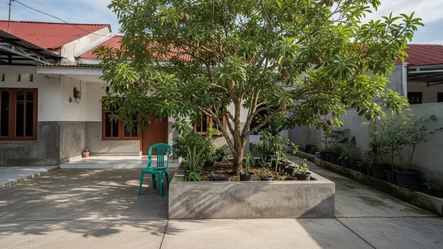 Pohon Buah yang Cocok Ditanam dalam Planter Box Beton Model Pohon Sawo
