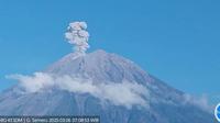 Gunung Semeru Erupsi dengan tinggi Letusan Capai 1.100 meter (Istimewa)