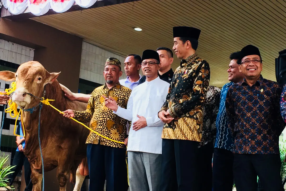 Presiden Jokowi memberikan sapi sebagai hewan kurban di PP Muhammadiyah.