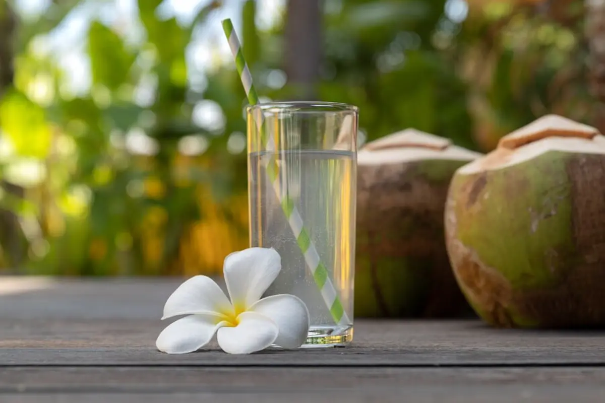Air kelapa (Foto Dok: Freepik/eyesartist)