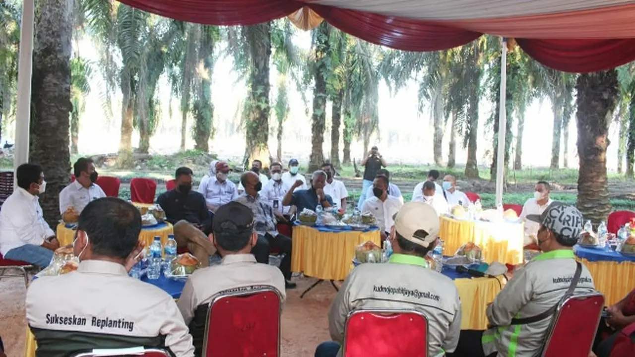 Diskusi manajemen PT Perkebunan Nusantara dengan petani plasma sawit di Kabupaten Kampar.
