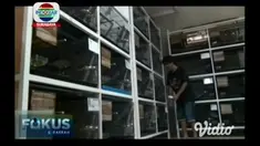 Tinggi permintaan usaha ternak burung “love bird” diminati lantaran menjanjikan keuntungan dengan modal kecil.